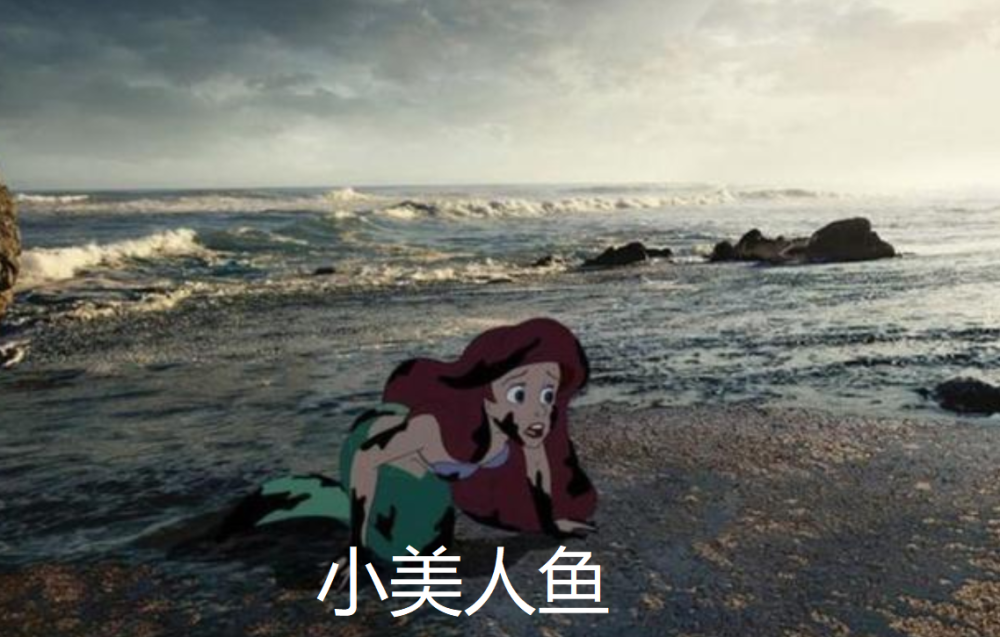 吧人载的射海不念，深度探索与理解背后的意义，深度探索与理解，吧人载的射海不念背后的意义