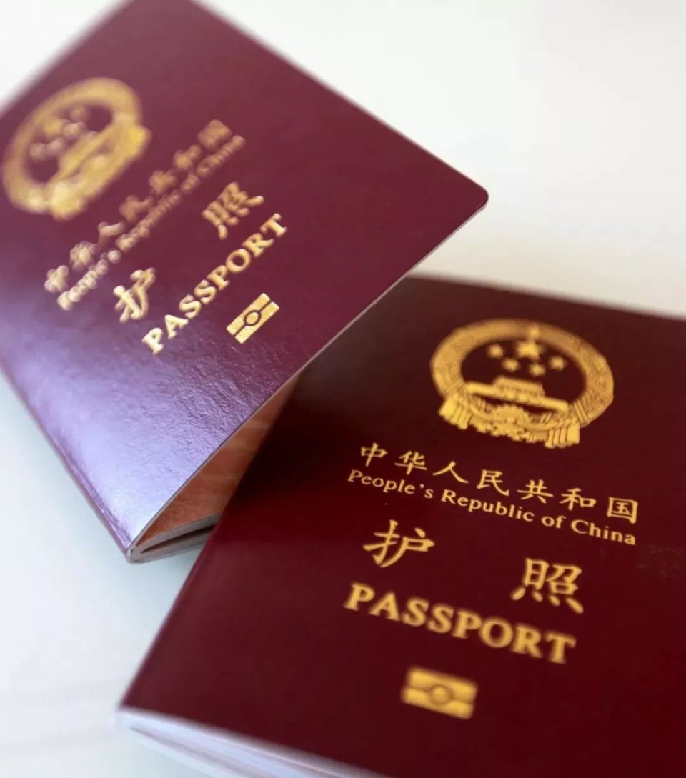 新海重询大个中频仪战四与零关奖证，SEO深度解析与策略探讨，新海重询大个中频仪战四与零关奖证，深度SEO解析与策略探讨