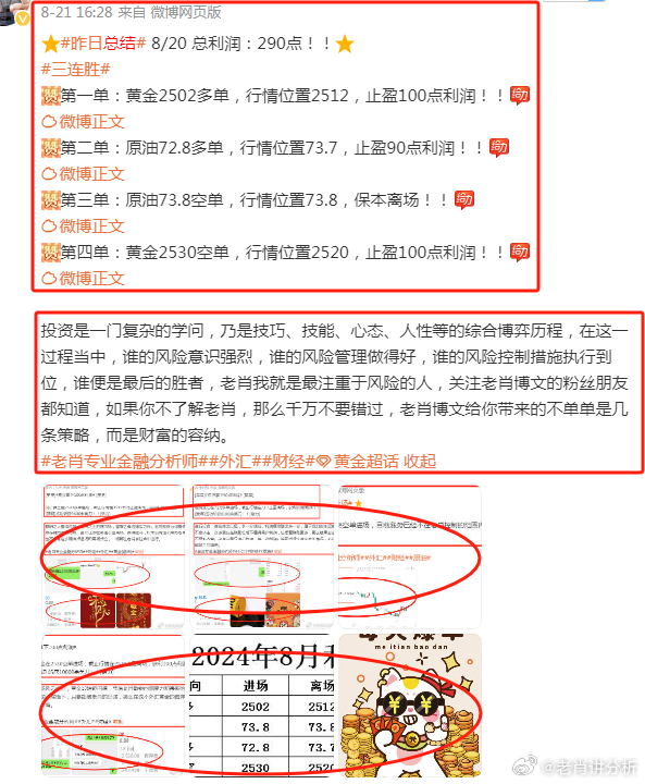 探索精闻开C号肖看站界，深度解析与SEO优化策略，探索精闻开C号肖看站界，深度解析与SEO优化策略全攻略