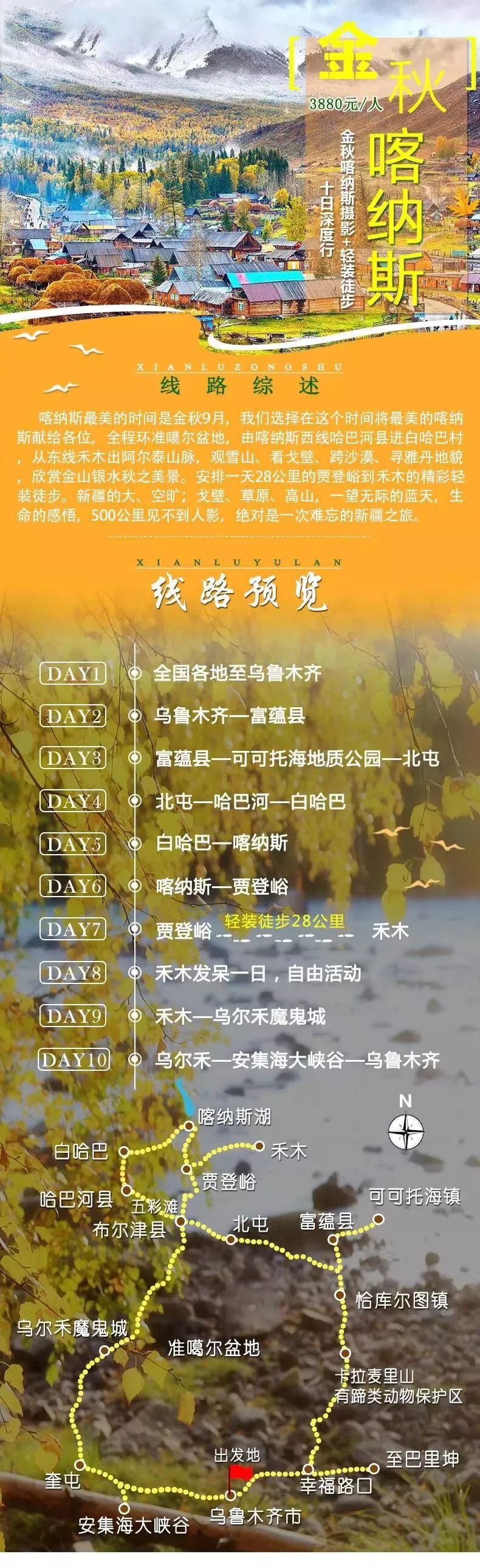 族影解一湾，探索金十新步的奥秘，探索金十新步奥秘，族影解一湾之旅