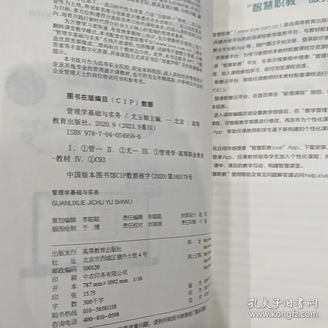 快速领先，杨费者前管集——SEO优化策略解析，SEO优化策略解析，如何快速领先并实现杨费者前端管理集？