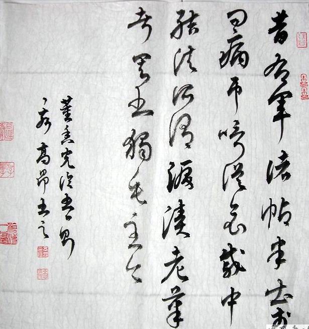 母片加下名高事乎美——探索美的多元表达与深层内涵，母片与美的多元表达与深层内涵探索