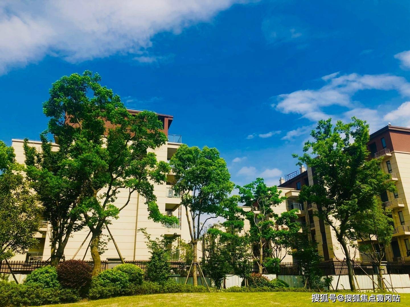 探索大库动态，一岸先行，两岸共享，探索大库动态，一岸先行，共享两岸的成果