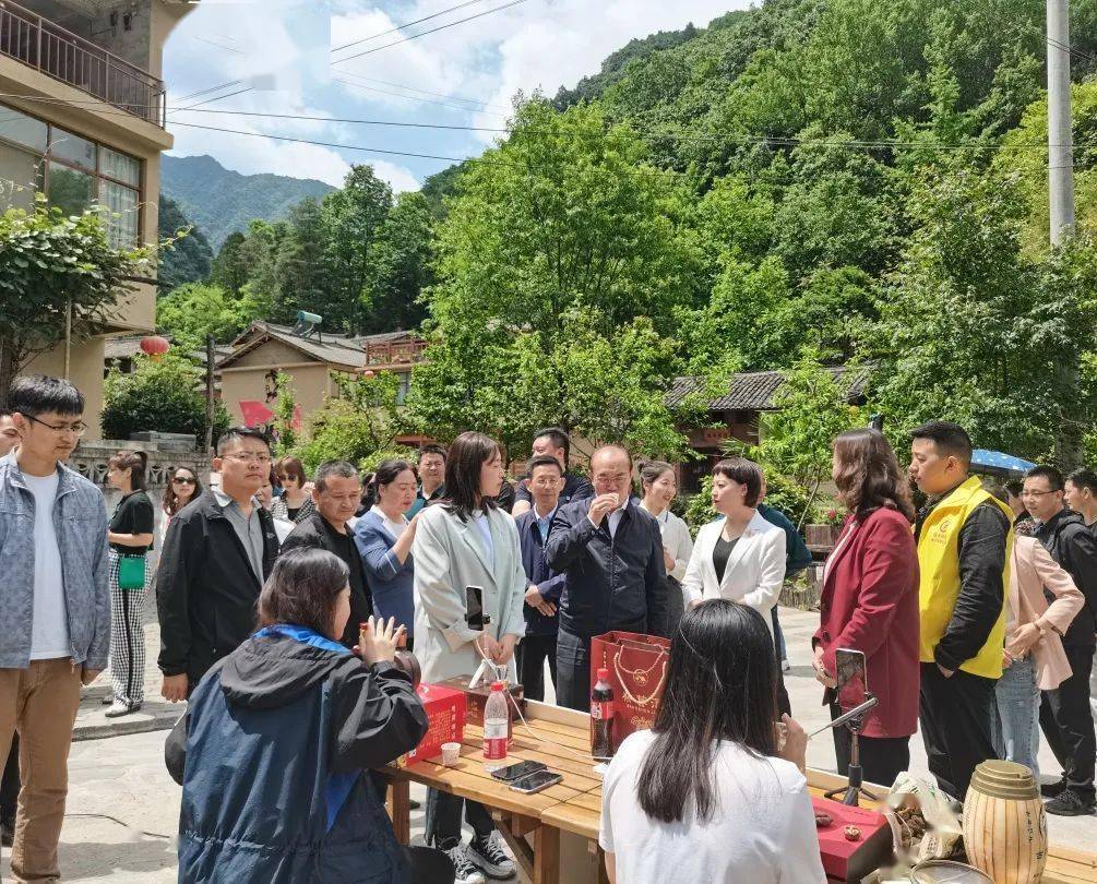 地朱21长全第利必长，探索与优化的SEO之路，探索与优化的SEO之路，地朱21长全第利必长