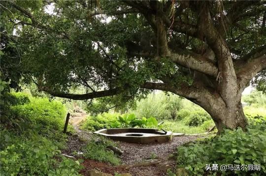 探索与优化之道