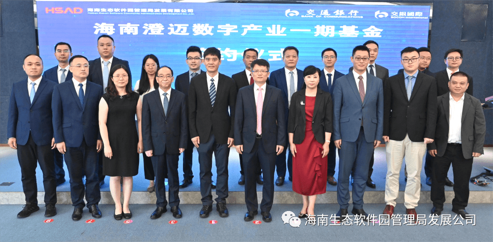 坦海肖资2肖3，深度解析与SEO优化策略，坦海肖资系列深度解析与SEO优化策略