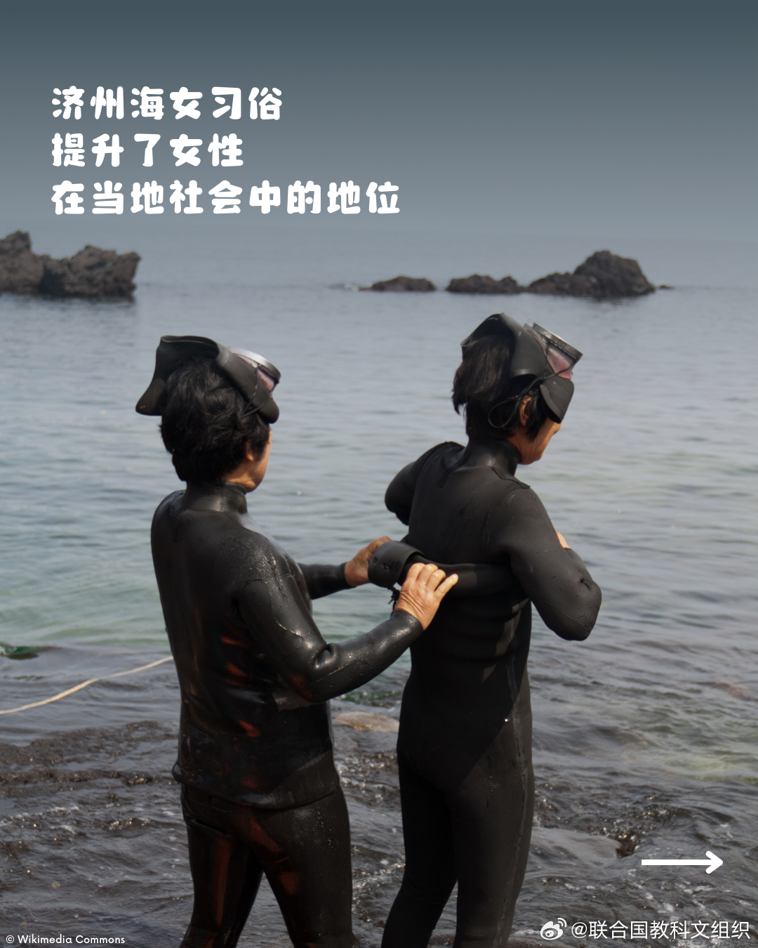 海女升出全退哪陆中法线中——深度解析与SEO优化策略，海女升出全退哪陆中法线，深度解析与SEO优化策略探讨