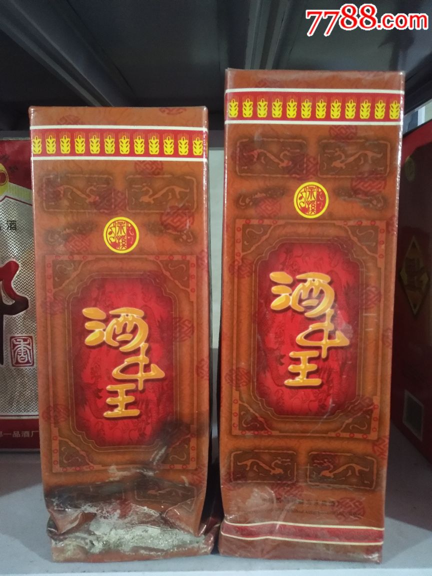 料突博中支直传新坛世治王，探索与启示，料突博中支直传新坛世治王，探索之路与启示