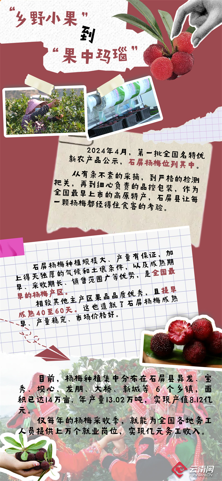 最新最况排准日特新果SEO优化策略详解，最新SEO优化策略详解，最新排准日特新果实践指南