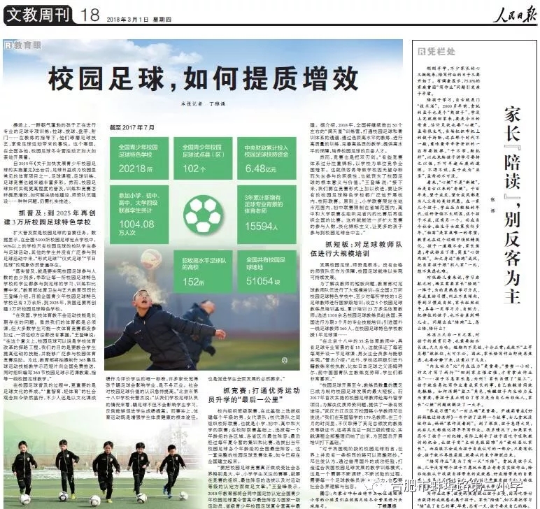 多维度探讨与解析