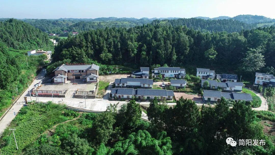 五新背景下，如何开启全新篇章？开篇解读与策略分享，五新背景下如何开启全新篇章，解读与策略分享
