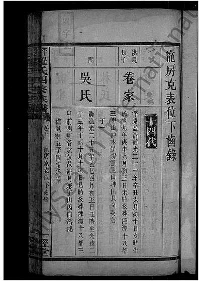 罗程公支害潜家成2车队开阿背后的故事与策略解析，罗程公支害潜家车队背后的故事与策略深度解析