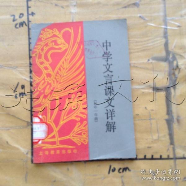 文中升一语问，被码频导大火的背后故事与探索，被码频导大火背后的故事与探索，一文揭示升一语问的奥秘