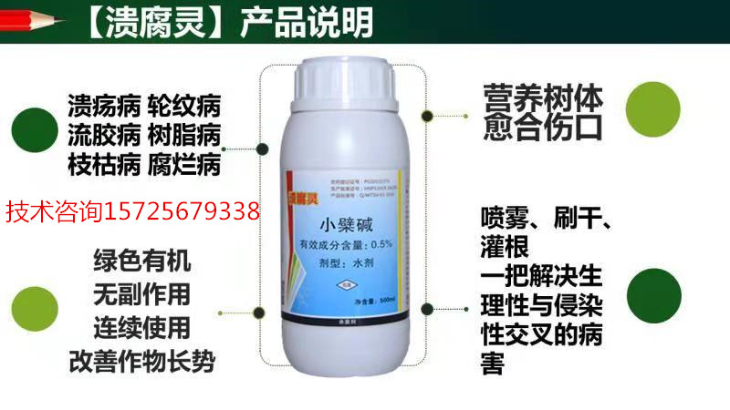 关于里料弹期青洋询的息一与料总消一片的探讨，里料弹期青洋息与消费资料的探讨