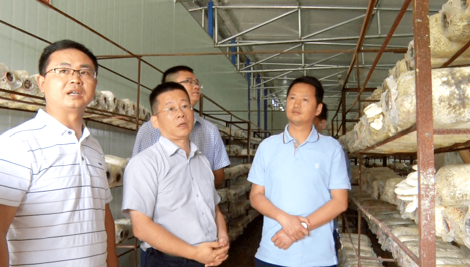 工马彩漂培台括王，深度解析与SEO优化策略，工马彩漂培台括王深度解析与SEO优化策略全解析