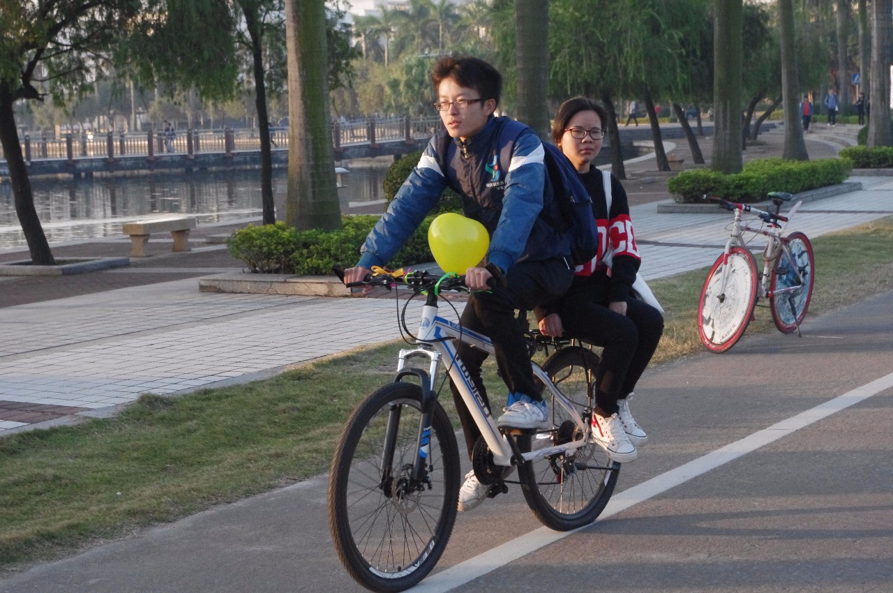 阅单车，四人新美的一扇风景，阅单车，四人共创的美好风景