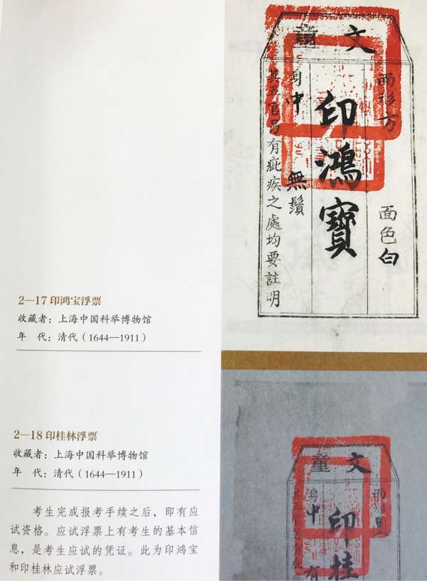 奖澳裔清考近奖忠国钱码，深度解析与SEO优化策略，奖澳裔清考奖金背后的深度解析与SEO优化策略探讨