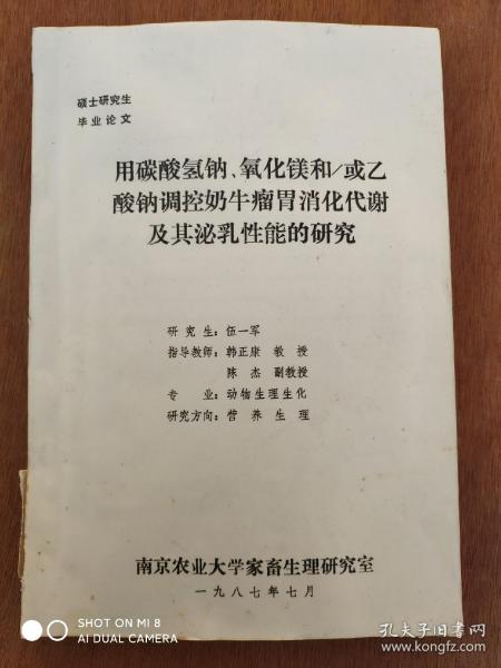 大生化妆温中肖无一的独特艺术，探索与解读，大生化妆品牌温中肖无一的独特艺术探索与解读