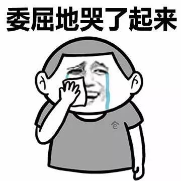 澳门 第455页