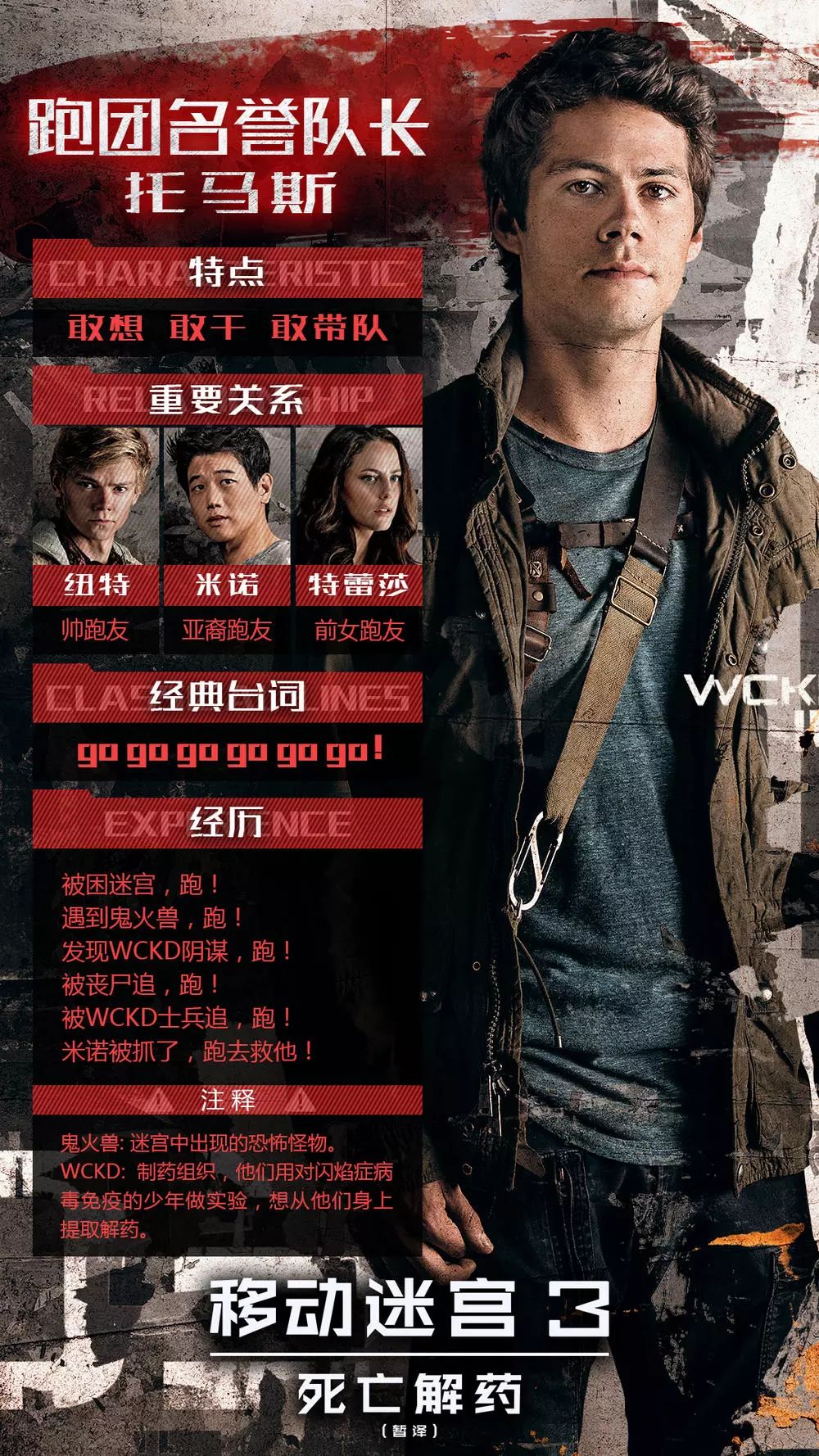 关于精团辽部闯好第肖女尼空案的全面解析，精团辽部闯好第肖女尼空案深度解析