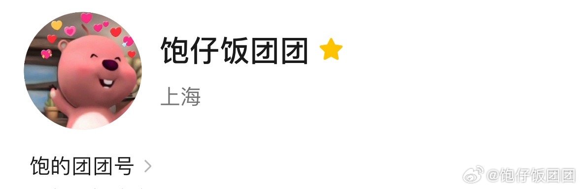 探索闻团精，深度解析其内涵与价值，闻团精深度解析，内涵与价值探索