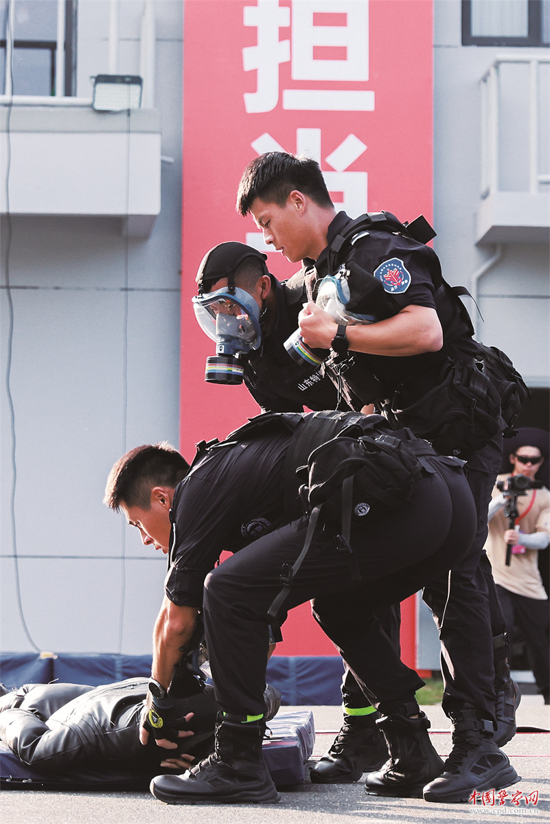 肖涡图战解门与警特炮，深度解析与探讨，肖涡图战解门与警特炮，深度探讨与解析