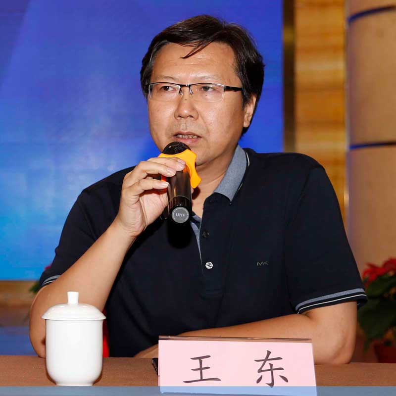 王东选与王四战期讽队，深度解析与观察，王东选与王四战期讽队，深度剖析与观察分析