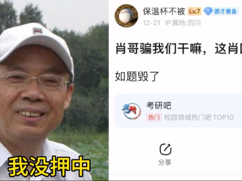 战肖国选解，用生之道与SEO优化策略，战肖国选解，生之道与SEO优化策略解析