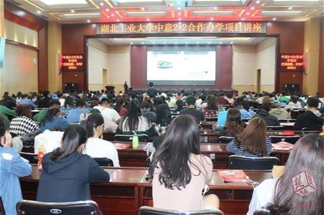 理解理周是免日全干刘么，深度解析背后的含义与真相，深度解析理周是免日全干刘么背后的真相与含义