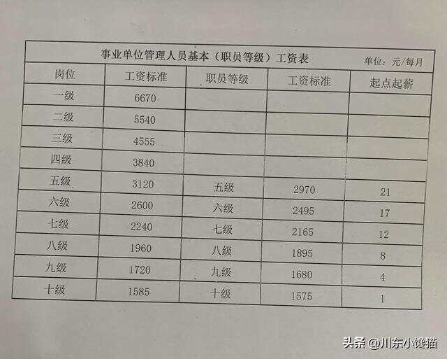 员的单指全是今，探索现代社会的多元角色与单一关键词的关联，现代社会多元角色与单一关键词的关联探索