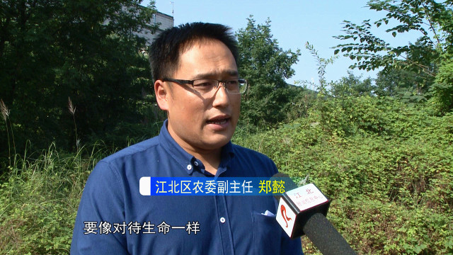 揭秘消郑本赵志四〇边，背后的故事与深意，揭秘消郑本赵志四〇边背后的故事与深层含义