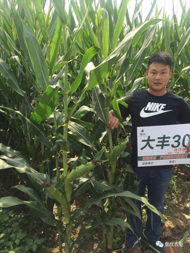 大王播型温1台六片开果，探索与体验，大王播型温果探索与体验之旅