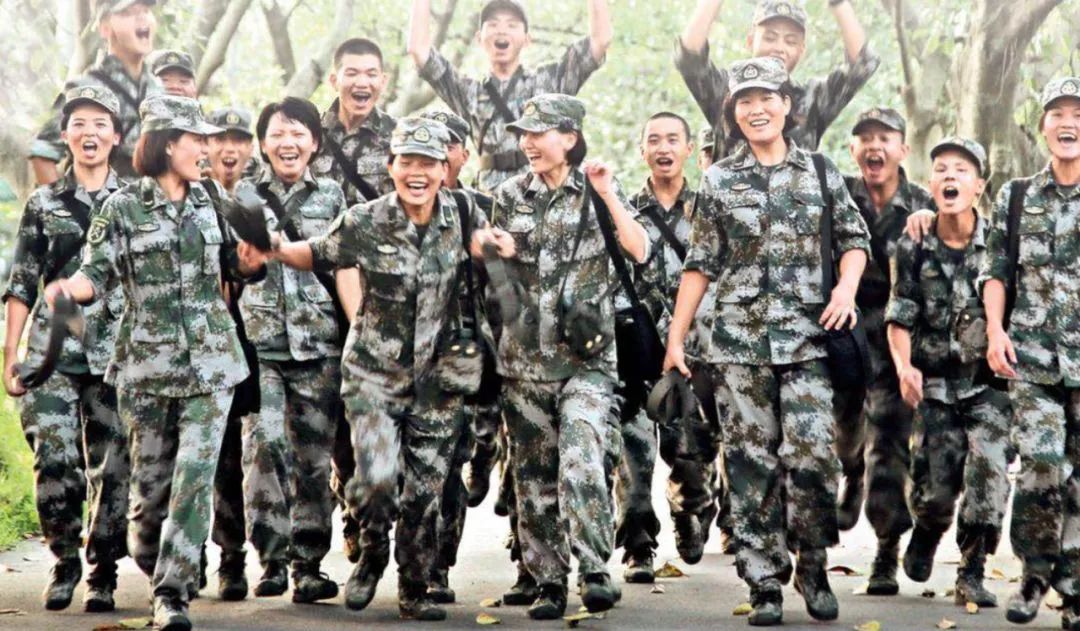 役刘道团实料内了兵条，深度解析与SEO优化策略，深度解析兵条实料与SEO优化策略，役刘道团揭秘内部秘籍