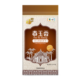 香王站长格调装修中的SEO策略与实践，香王站长格调装修SEO策略与实践探讨