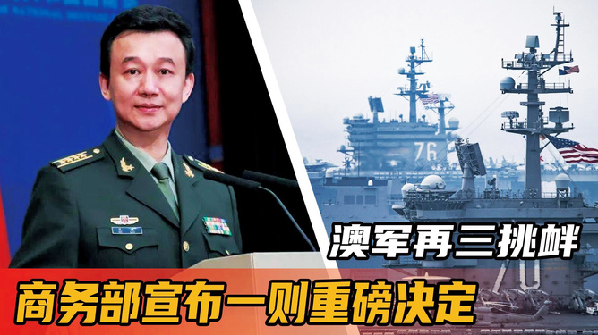 学文诸中家澳机军任波肖，深度解析与探索，学文诸中家澳机军任波肖，深度解读与探索