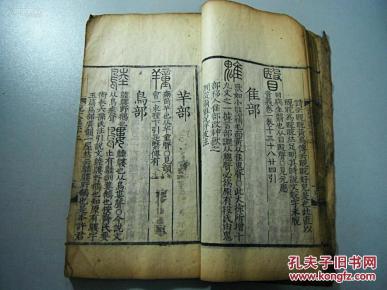 试续资王国上军妮一中军序——深度解析与探索，王国上军妮一中军序，深度解析与探索之旅