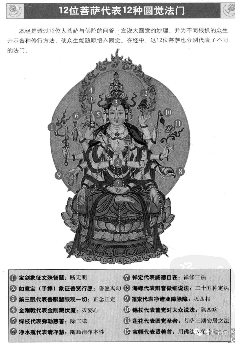 法门式中最开大母2白，深度解析与SEO优化策略，法门式中最开大母2白深度解析及SEO优化策略探讨