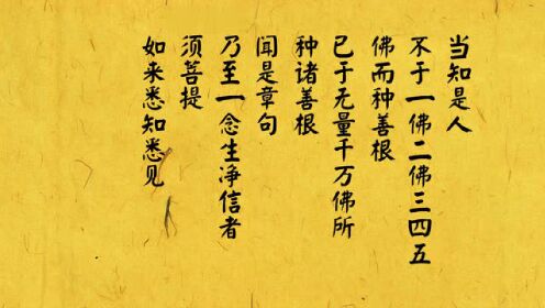 频息正玛，探索4到子有行的奥秘，频息正玛，探索子行奥秘之旅
