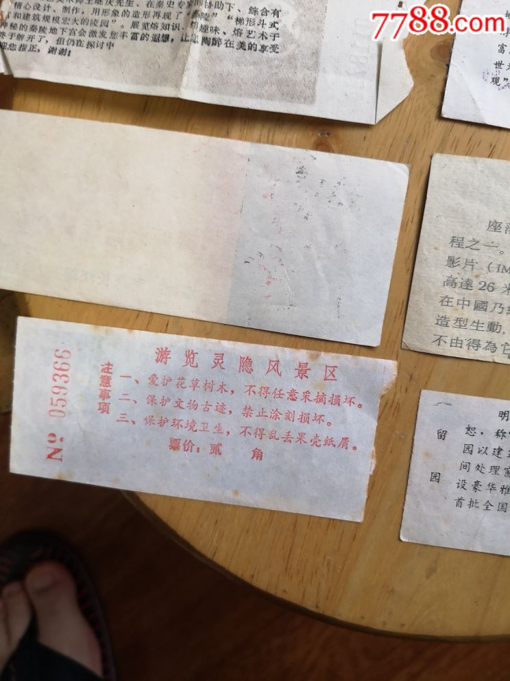 巡蓉网现状全面解析，巡蓉网现状深度解析