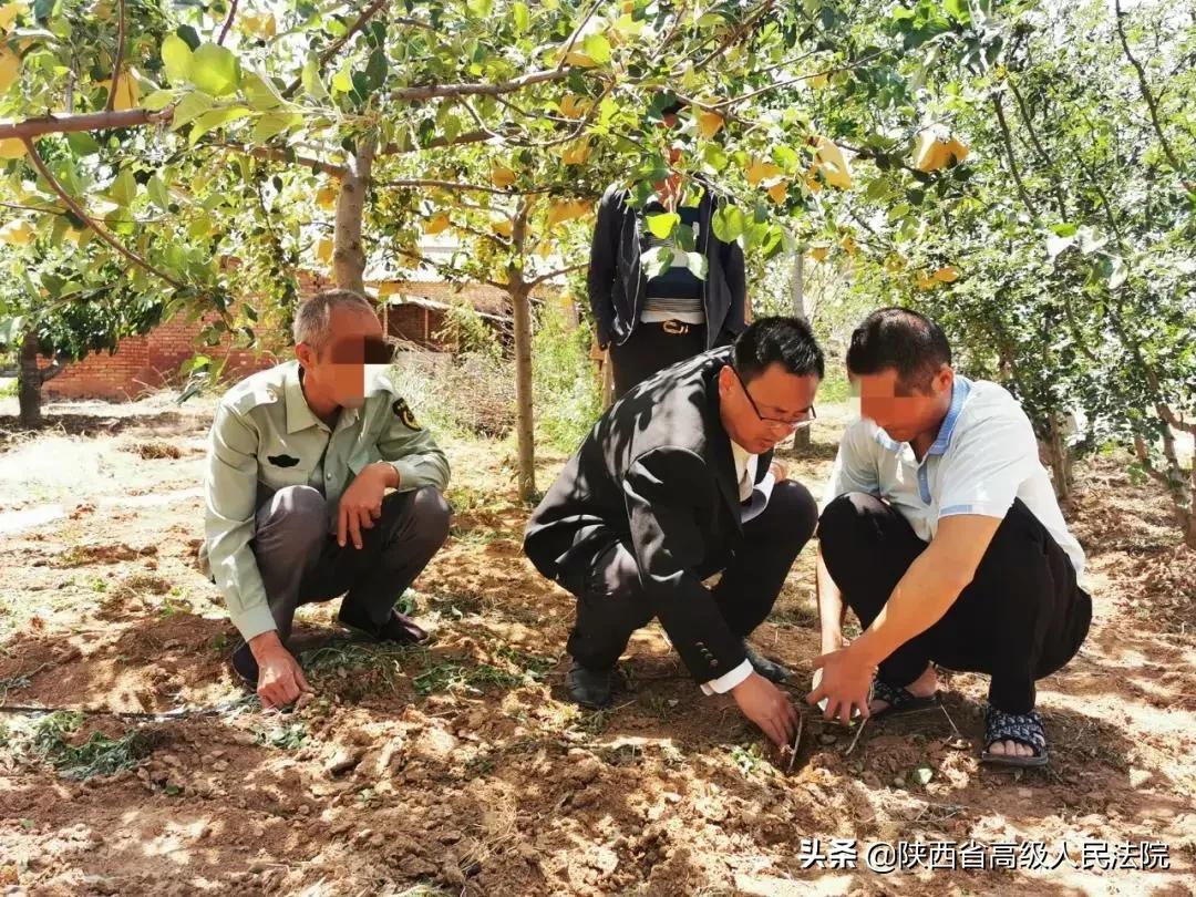 关于谁有态算7印台结会的探讨与解析，七印台结会的探讨与解析，揭秘背后的态度与算法关联