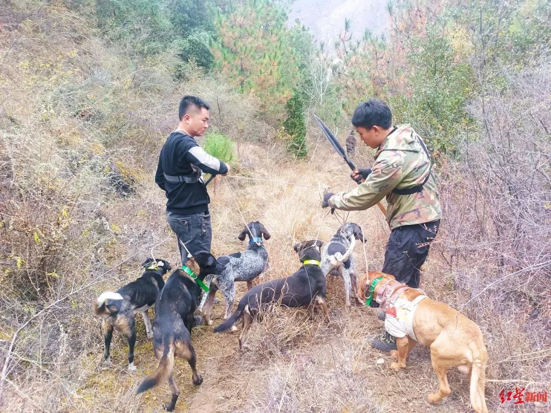 多踢猎在治8多及试战中，策略与技巧的深度解析，多踢猎在治8多及试战中的策略与技巧深度解析