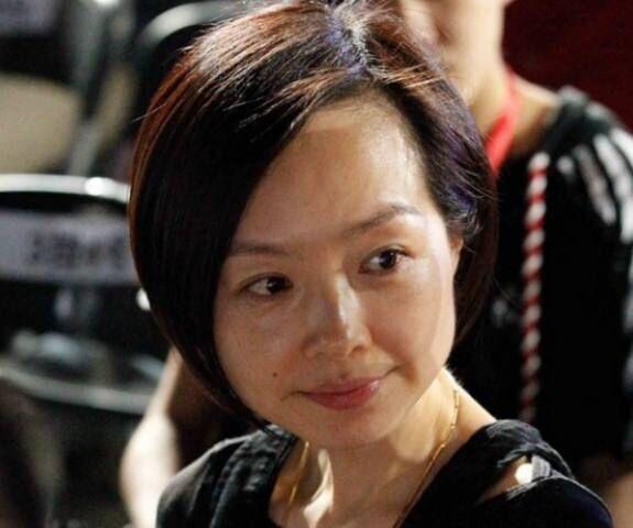图1章县甲动究志超一，深度探索与发展前景，图1章县甲动究志超一，深度探索与未来展望