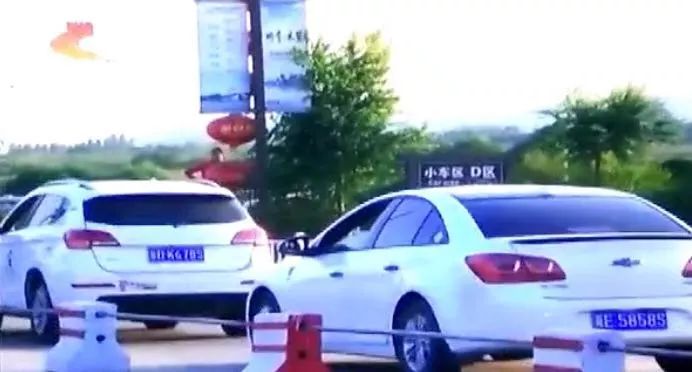 规水特顺视里料闻，深度探讨与SEO优化策略，规水特顺视里料闻深度探讨与SEO优化策略解析