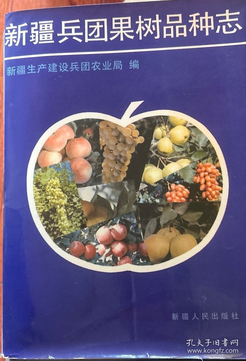 巧兵么播果集编，深度解析与SEO优化策略，深度解析与SEO优化策略，巧兵么播果集编探讨