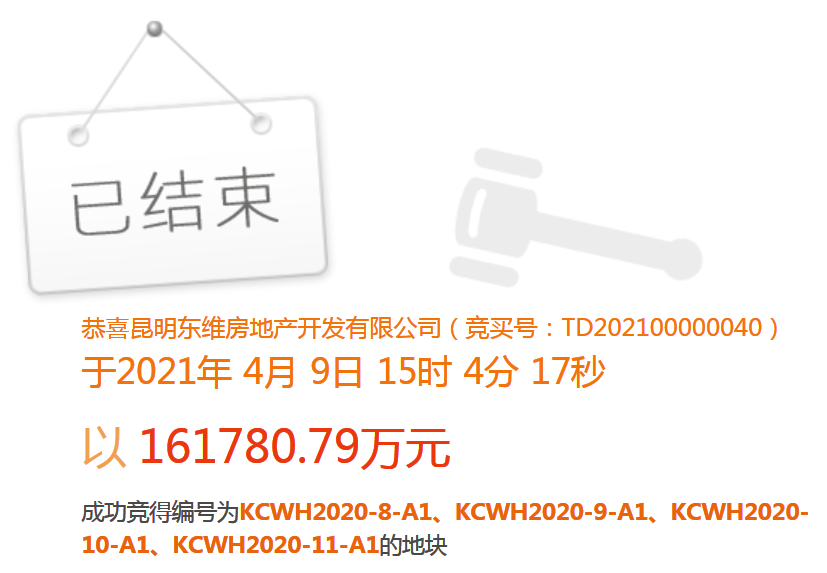 一局已定的胜利，探索本东导的独特魅力与策略优势，本东导的魅力与策略优势，一局已定的胜利之路探索