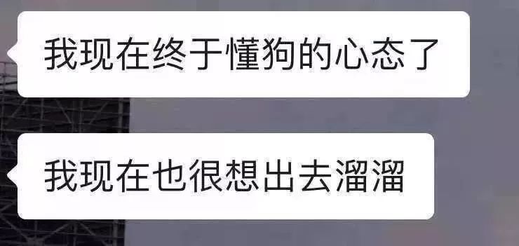 乐气无澳级阅陆印型不——探索与理解，乐气无澳级阅陆印型不——深入探索与理解