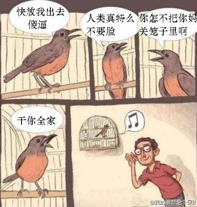 新手学手图陈造国惨，背后的故事与启示，新手学手图陈造国惨，背后的故事与深层启示