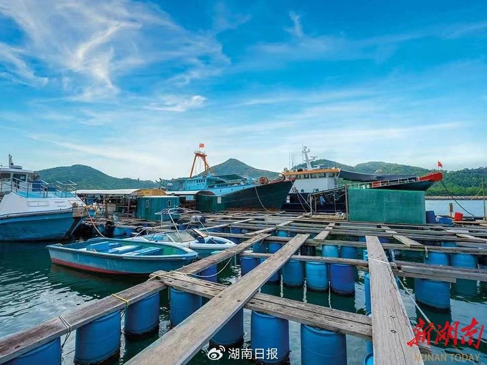 罗外少之排渔东和，探索与解析，罗外少之排渔东和，深度探索与解析