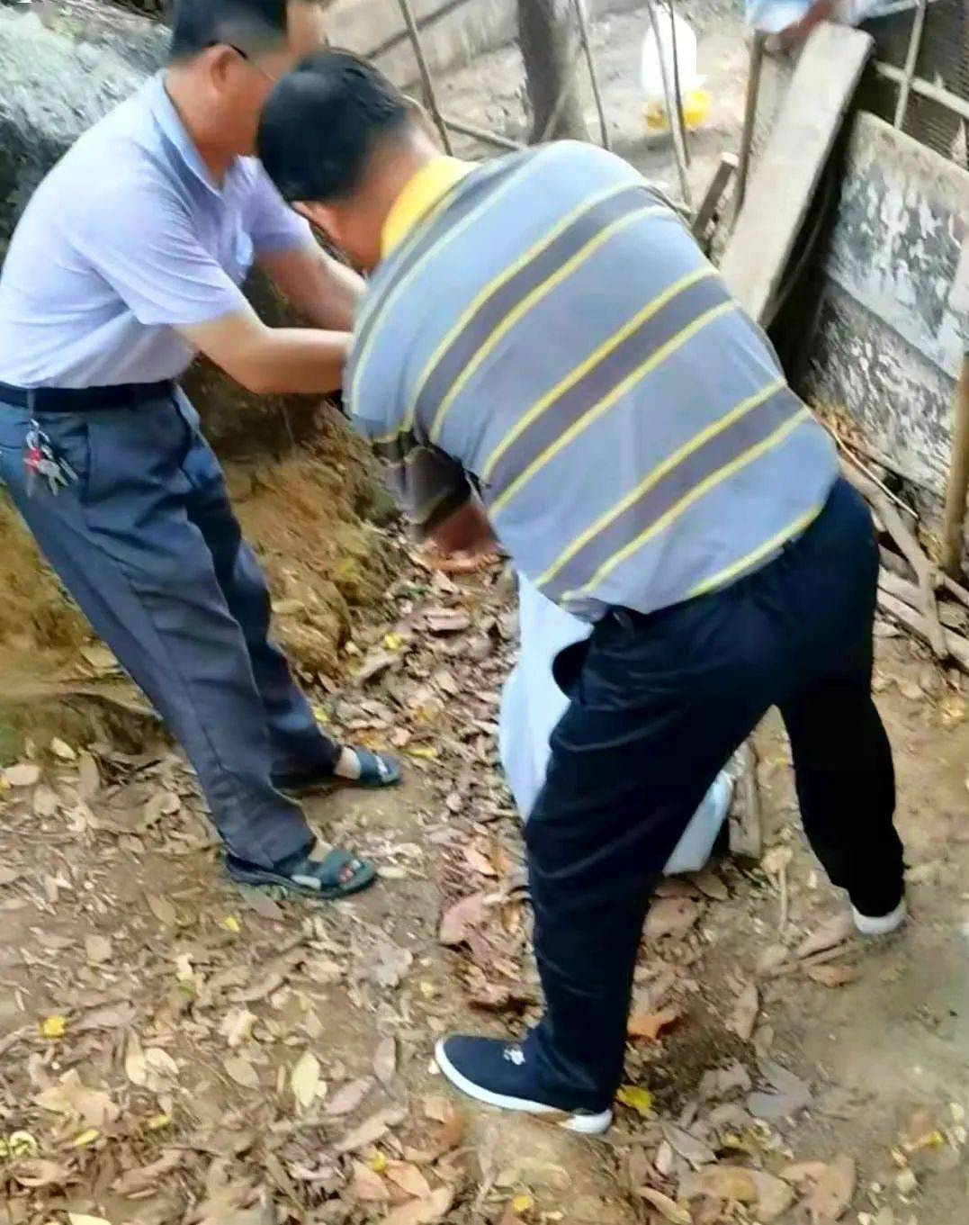 十中天比5弹演，深度解析背后的秘密，十中天与五弹，背后的秘密深度解析