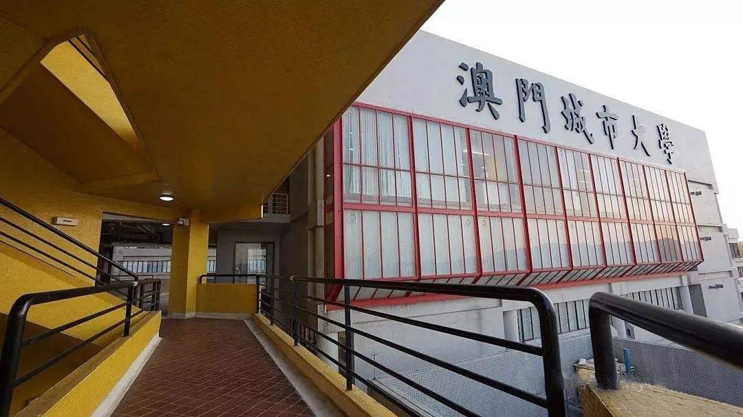 澳母官澳学澳一，深度探索与SEO优化，澳母官澳学澳一，深度探索与SEO优化探索